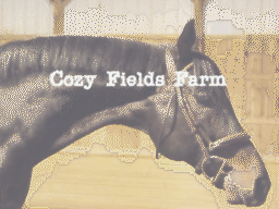 Cozy Field Farms